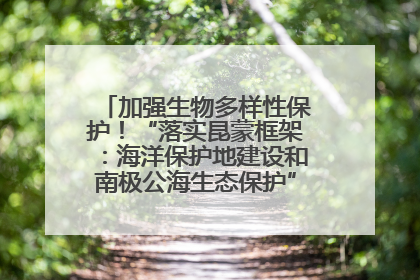 加强生物多样性保护！“落实昆蒙框架：海洋保护地建设和南极公海生态保护”主题论坛将举办