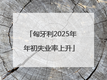 匈牙利2025年年初失业率上升