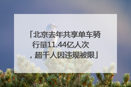 北京去年共享单车骑行量11.44亿人次，超千人因违规被限