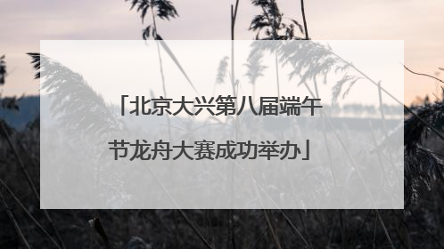 北京大兴第八届端午节龙舟大赛成功举办
