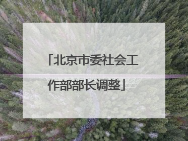 北京市委社会工作部部长调整