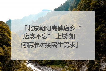北京朝阳高碑店乡“店念不忘” 上线 如何精准对接民生需求