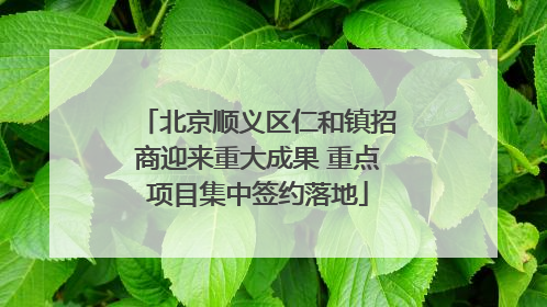北京顺义区仁和镇招商迎来重大成果 重点项目集中签约落地