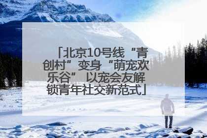 北京10号线“青创村”变身“萌宠欢乐谷” 以宠会友解锁青年社交新范式