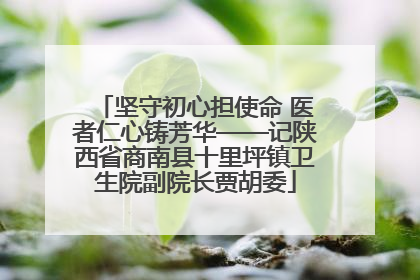 坚守初心担使命 医者仁心铸芳华——记陕西省商南县十里坪镇卫生院副院长贾胡委