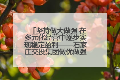 坚持做大做强 在多元化经营中逐步实现稳定盈利——石家庄交投集团做优做强典型报道之三