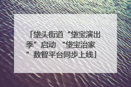 垡头街道“垡宝演出季”启动 “垡宝治家”数智平台同步上线