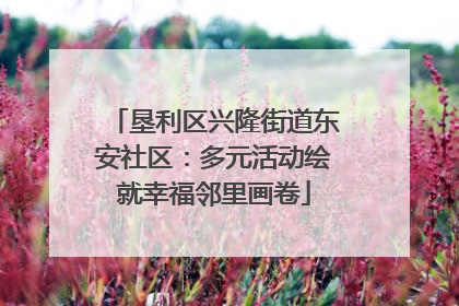 垦利区兴隆街道东安社区：多元活动绘就幸福邻里画卷