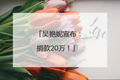 吴艳妮宣布：捐款20万！