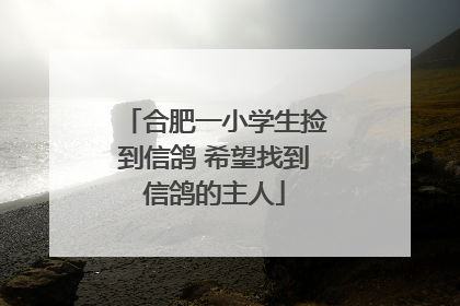 合肥一小学生捡到信鸽 希望找到信鸽的主人
