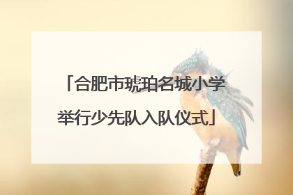 合肥市琥珀名城小学举行少先队入队仪式
