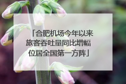 合肥机场今年以来旅客吞吐量同比增幅位居全国第一方阵