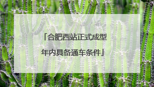 合肥西站正式成型 年内具备通车条件