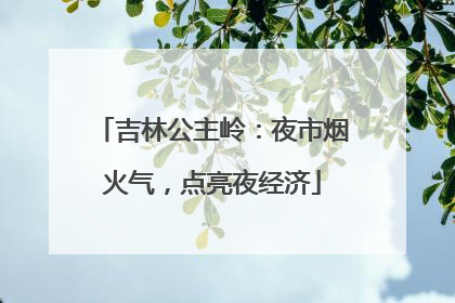 吉林公主岭：夜市烟火气，点亮夜经济