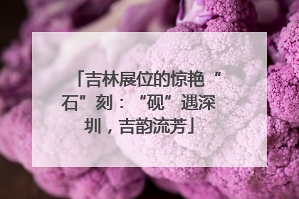吉林展位的惊艳“石”刻：“砚”遇深圳，吉韵流芳