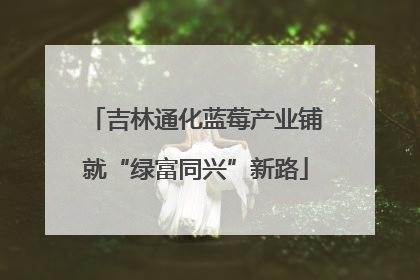 吉林通化蓝莓产业铺就“绿富同兴”新路