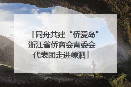 同舟共建“侨爱岛” 浙江省侨商会青委会代表团走进嵊泗