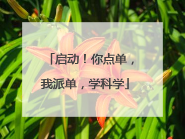 启动！你点单，我派单，学科学