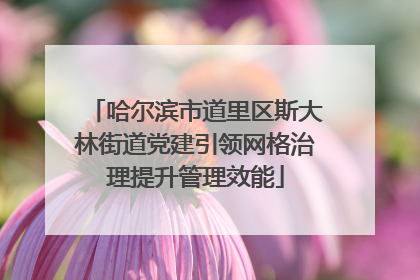 哈尔滨市道里区斯大林街道党建引领网格治理提升管理效能