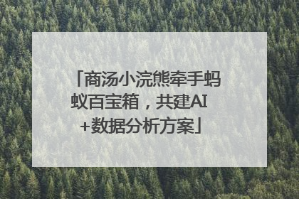 商汤小浣熊牵手蚂蚁百宝箱，共建AI+数据分析方案
