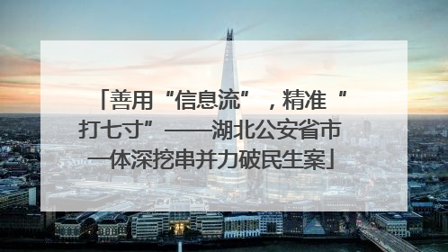 善用“信息流”，精准“打七寸”——湖北公安省市一体深挖串并力破民生案