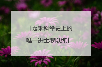 嘉禾科举史上的唯一进士罗以纯