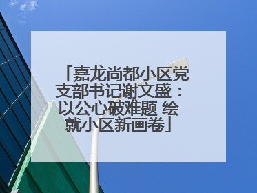 嘉龙尚都小区党支部书记谢文盛：以公心破难题 绘就小区新画卷