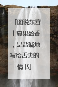 图说东营丨夏果盈香，是盐碱地写给舌尖的情书