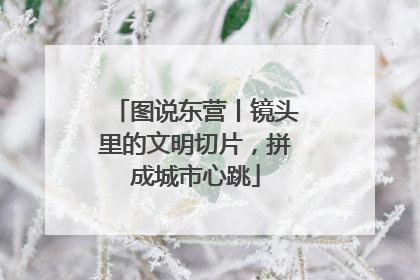 图说东营丨镜头里的文明切片，拼成城市心跳