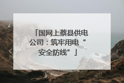 国网上蔡县供电公司：筑牢用电“安全防线”