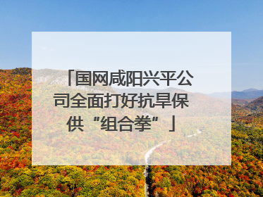 国网咸阳兴平公司全面打好抗旱保供“组合拳”