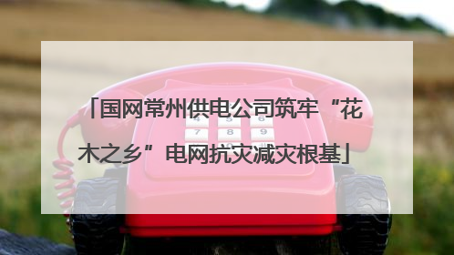 国网常州供电公司筑牢“花木之乡”电网抗灾减灾根基