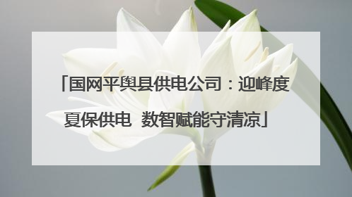 国网平舆县供电公司：迎峰度夏保供电  数智赋能守清凉