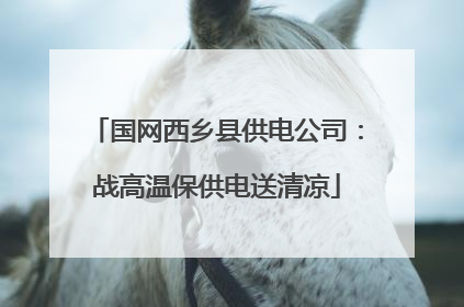 国网西乡县供电公司：战高温保供电送清凉