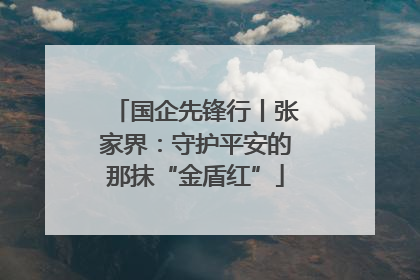 国企先锋行丨张家界：守护平安的那抹“金盾红”