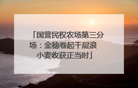 国营民权农场第三分场：金穗卷起千层浪 小麦收获正当时