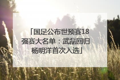 国足公布世预赛18强赛大名单：武磊回归 杨明洋首次入选
