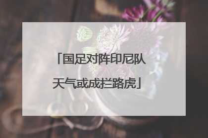 国足对阵印尼队 天气或成拦路虎