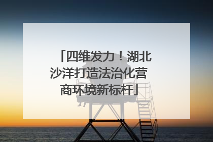 四维发力！湖北沙洋打造法治化营商环境新标杆