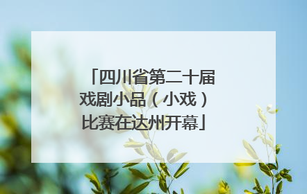 四川省第二十届戏剧小品（小戏）比赛在达州开幕