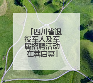 四川省退役军人及军属招聘活动在蓉启幕