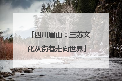 四川眉山：三苏文化从街巷走向世界