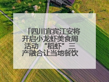 四川宜宾江安将开启小龙虾美食周活动 “稻虾”三产融合让当地餐饮商户充满期待
