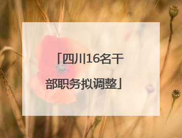 四川16名干部职务拟调整