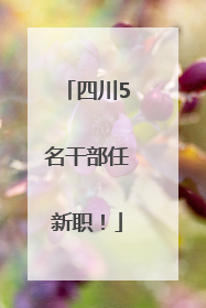 四川5名干部任新职！