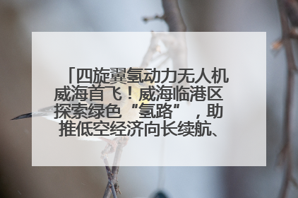 四旋翼氢动力无人机威海首飞！威海临港区探索绿色“氢路”，助推低空经济向长续航、大载重“进化”