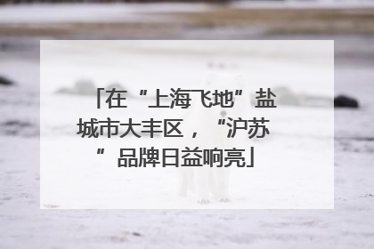 在“上海飞地”盐城市大丰区，“沪苏”品牌日益响亮