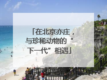 在北京亦庄，与珍稀动物的“下一代”相遇