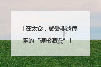 在太仓，感受非遗传承的“硬核浪漫”
