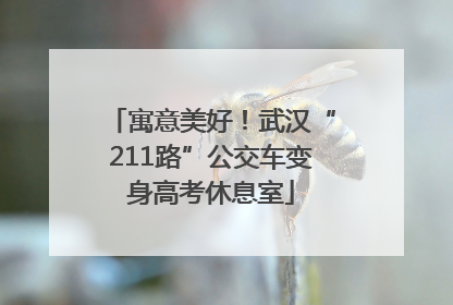 寓意美好！武汉“211路”公交车变身高考休息室